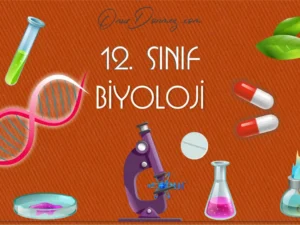 Biyoloji 12
