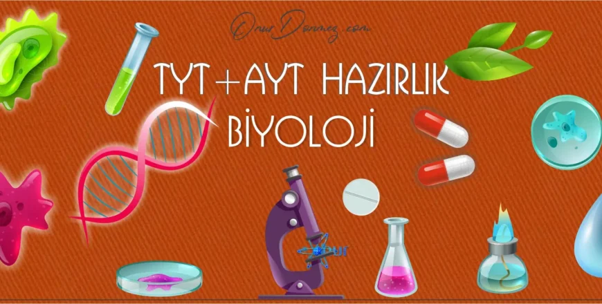 Biyoloji YKS